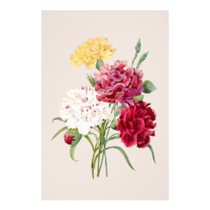 Foto Impresión de flores de clavel vintage