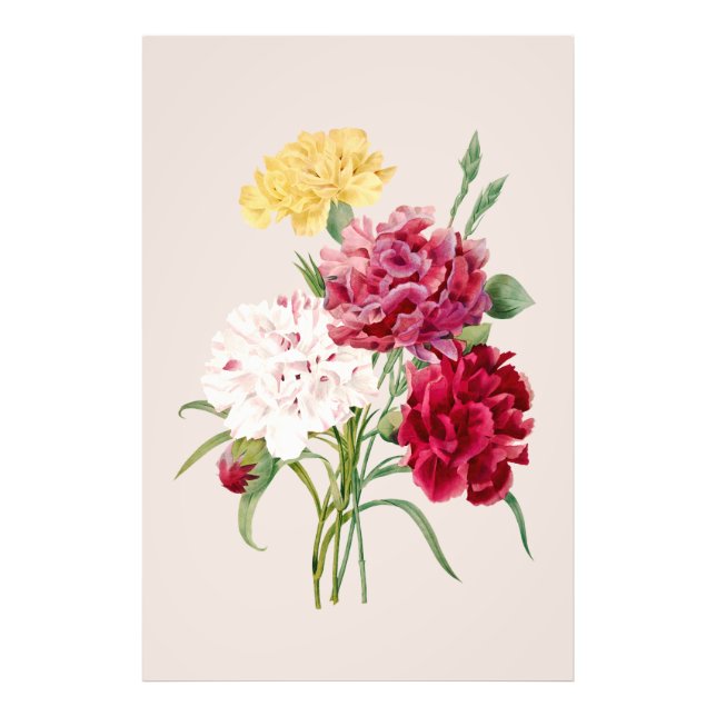 Foto Impresión de flores de clavel vintage (Frente)