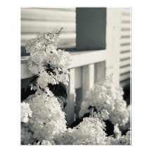 Impresión de flores en blanco y negro