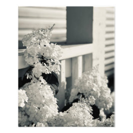 Foto Impresión de flores en blanco y negro