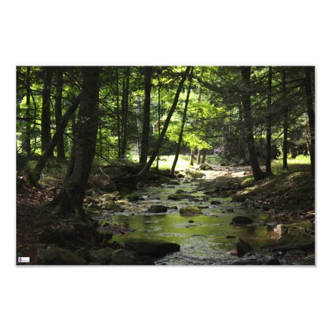 Foto Impresión de fotografías a la baja (Frente)