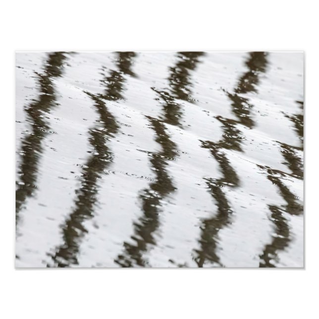 Foto Impresión De Fotografías De Rayos Y Zorras (Frente)