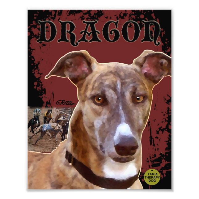 Foto Impresión de Greyhound mascota (Frente)