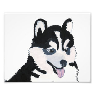 Foto Impresión de grupo de Venus