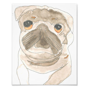 Foto Impresión de grupo de Zues