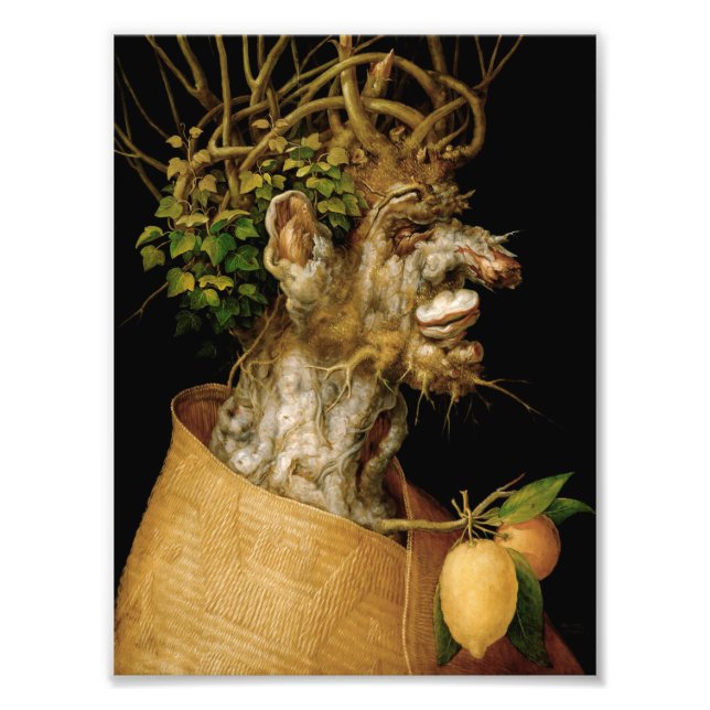 Foto Impresión de invierno de Arcimboldo (Frente)