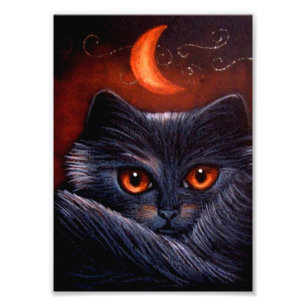 FOTO IMPRESIÓN DE LA LUNA DEL CAT NEGRO Y DEL NARANJA