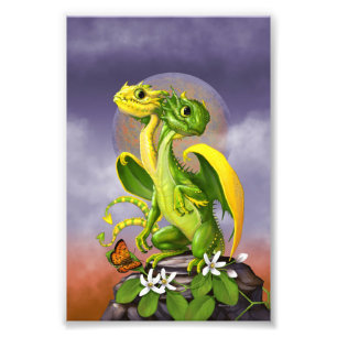 Foto Impresión de Lemon Lime Dragon 4x6