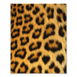 Foto Impresión de leopardo