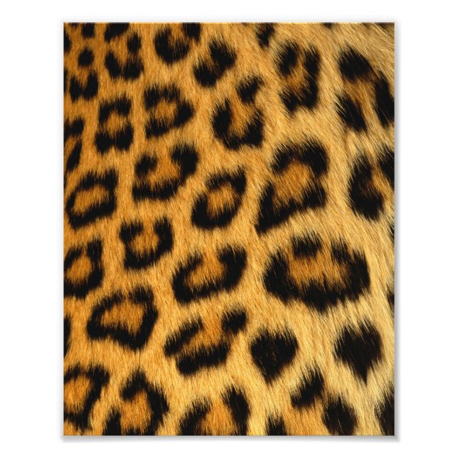 Foto Impresión de leopardo (Frente)