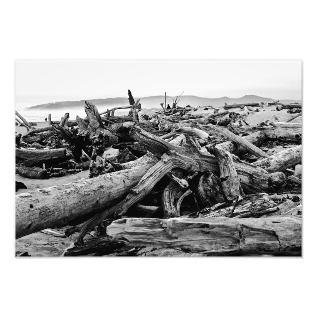 Foto Impresión de Oregon Coast Driftwood Black and Whit (Frente)