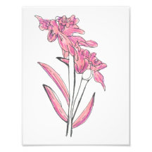Impresión de orquídea rosa