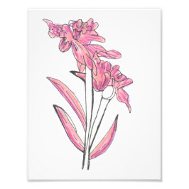 Foto Impresión de orquídea rosa