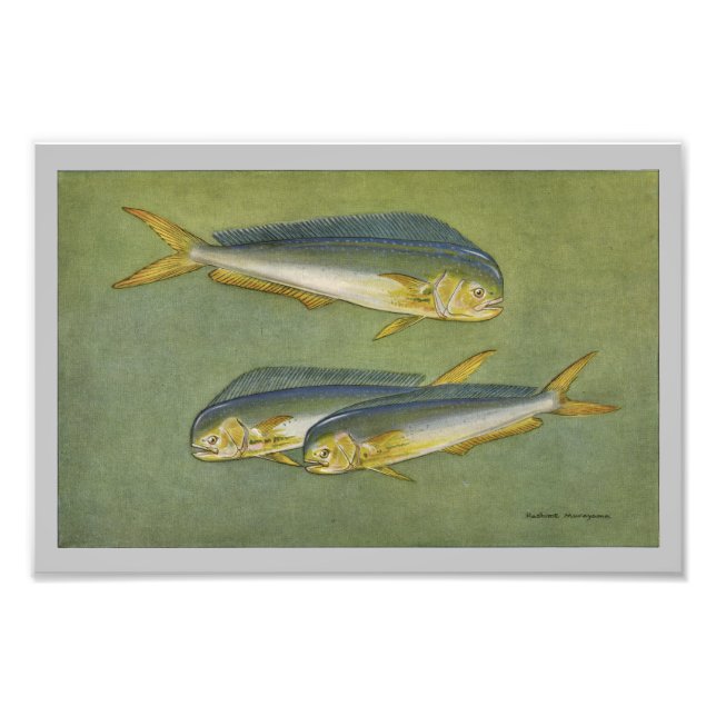 Foto Impresión de peces de carne de pez de delfín (Frente)