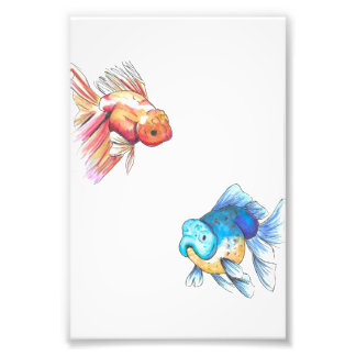 Foto Impresión de peces de colores