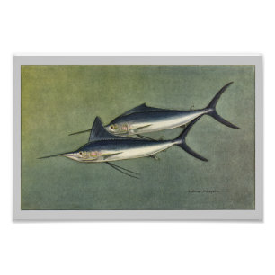Foto Impresión de pescado cosechado en marlin o Spearfi