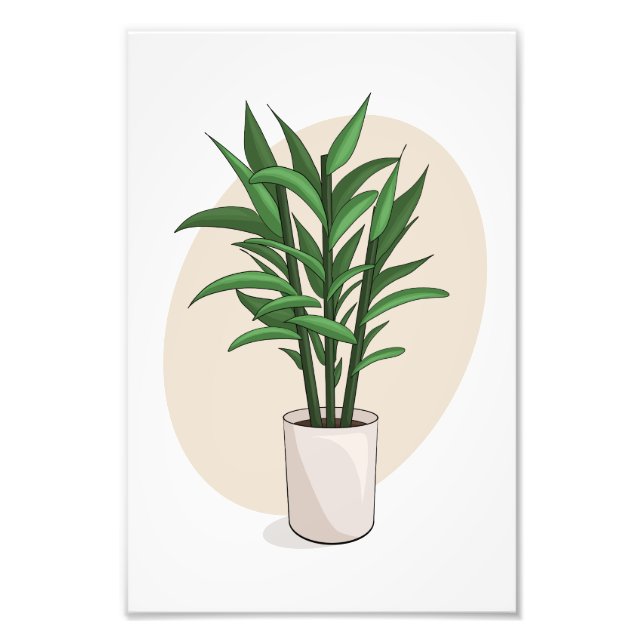 Foto Impresión de Poster de vectores de planta 2 desde  (Frente)