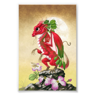 Foto Impresión de Radish Dragon 4x6