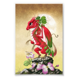 Foto Impresión de Radish Dragon 4x6