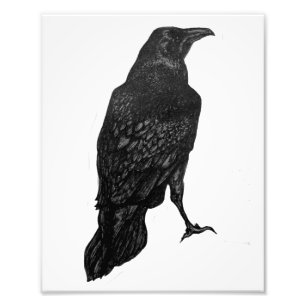 Foto Impresión de rayas negras