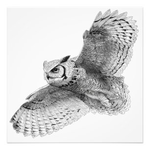 Foto Impresión de tinta majestuosa de búho blanco negro