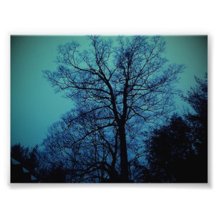Foto Impresión del árbol del espectro