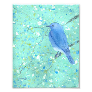 Foto Impresión del arte del Bluebird