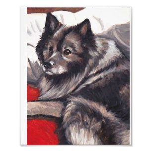 Foto Impresión del arte del perro de Keeshond