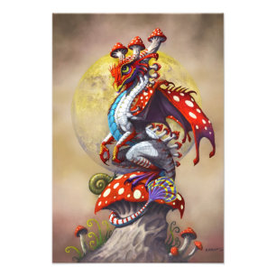 Foto Impresión del dragón 13x19 de la seta