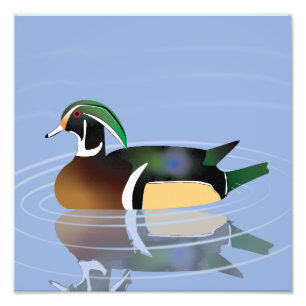 Foto Impresión del pato de madera