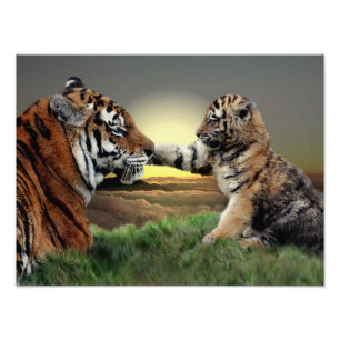Foto Impresión del tigre y de la edición de Cub Digit