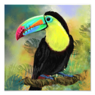 Foto Impresión exótica Toco Toucan Bird Poster - Pintur