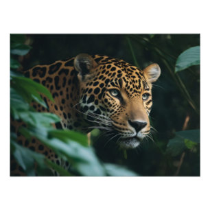 Foto Impresión fotográfica-Leopardo