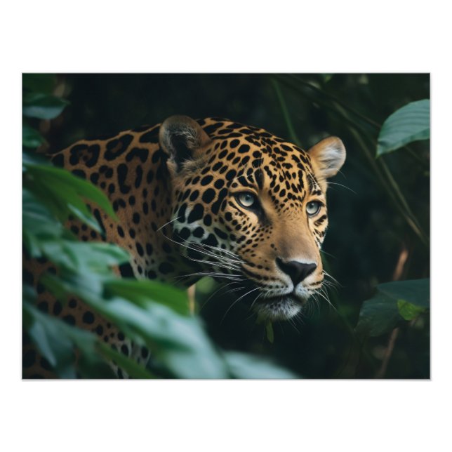 Foto Impresión fotográfica-Leopardo (Frente)