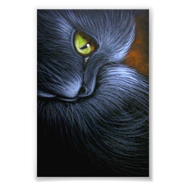 FOTO IMPRESIÓN HALLOWEB FANTASY BLACK CAT 4" X 6" (Frente)