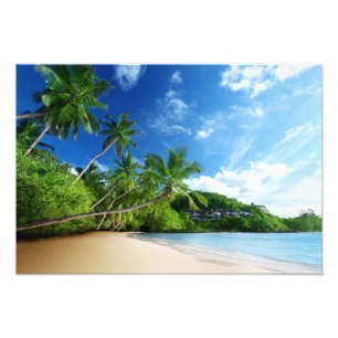 Foto Impresión Playa Tropical