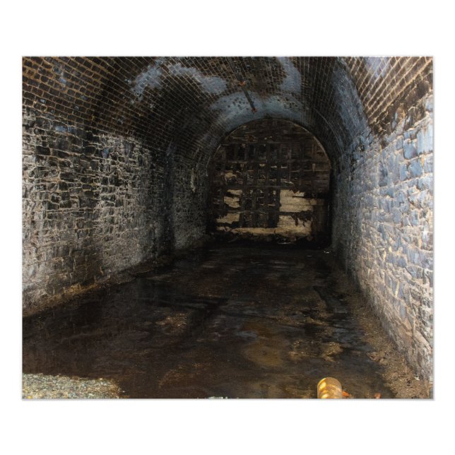 FOTO IMPRESIÓN SUBTERRÁNEA DE LOWELL (Frente)