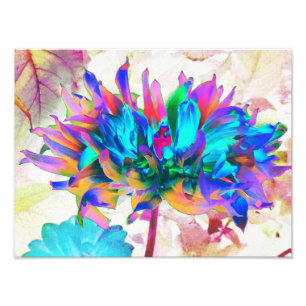 Foto Impresionante acuarela Cactus Arcoiris Dahlia