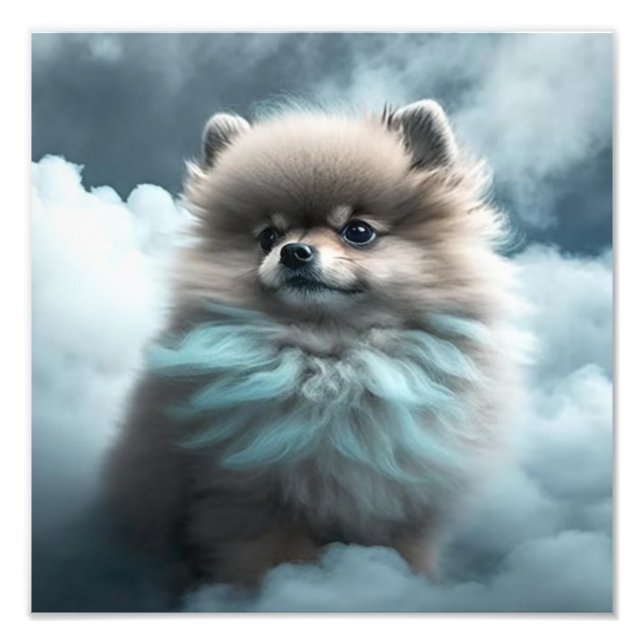 Foto Impresiones de guardería de cachorros y sala de ni (Frente)