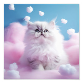 Foto Impresiones de Guardería de Gatitos y Habitación d