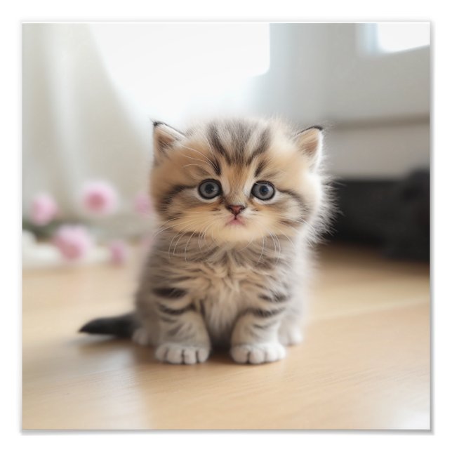 Foto Impresiones de Guardería de Gatitos y Habitación d (Frente)