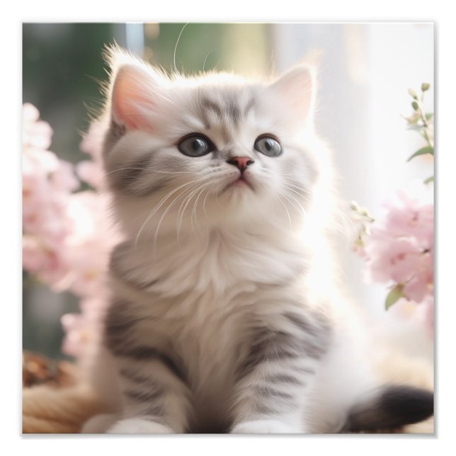 Foto Impresiones de Guardería de Gatitos y Habitación d (Frente)