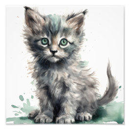 Foto Impresiones para guardería de gatitos y habitación