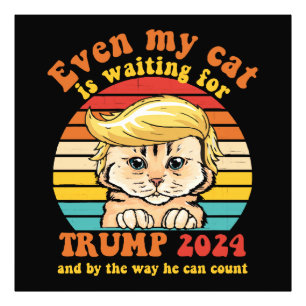 Foto Incluso mi gato está esperando la ropa de Trump 20