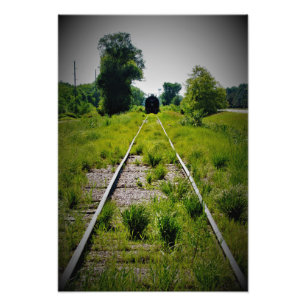 Foto "Indulto en pasturas verdes"