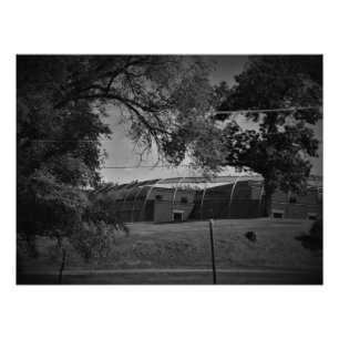 Foto "Infierno, en una canasta"