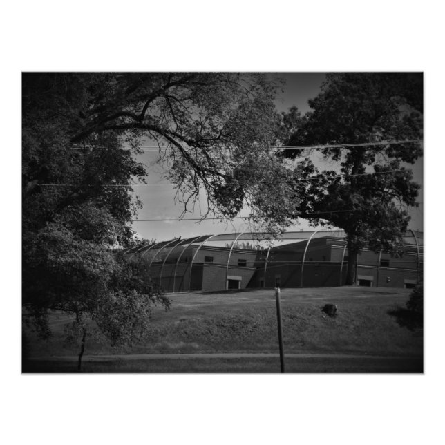 Foto "Infierno, en una canasta" (Frente)