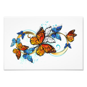 Foto Infinidad de Mariposas Monarca