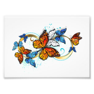 Foto Infinidad de Mariposas Monarca