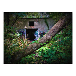 Foto "Ingresa si eres lo suficiente CrAzY"